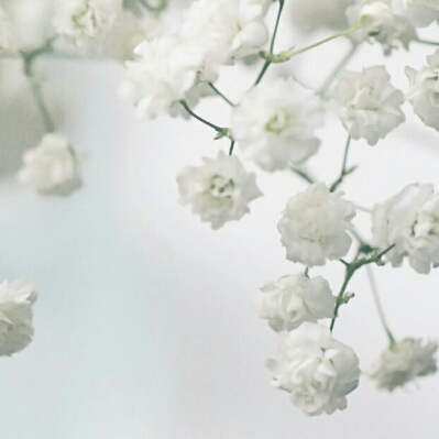 이요 프로필