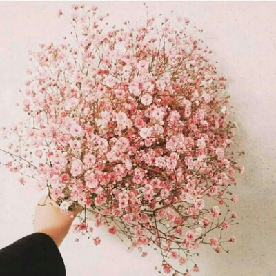뿌깡ㅇㅇ 프로필