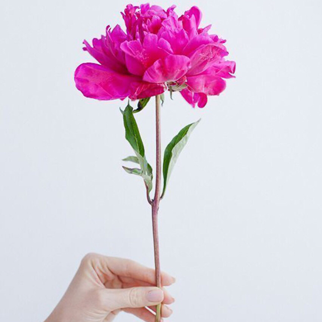 하이릴라 프로필