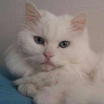삼육이 프로필