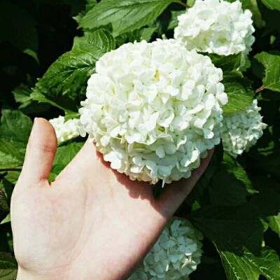 뉴다 프로필