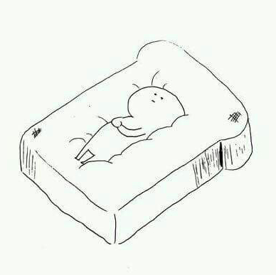 나달 프로필