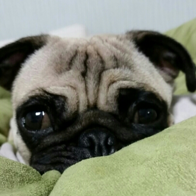 꼬물꿍땅 프로필