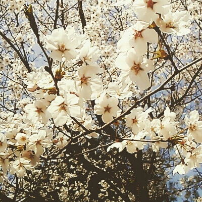 투덜 프로필