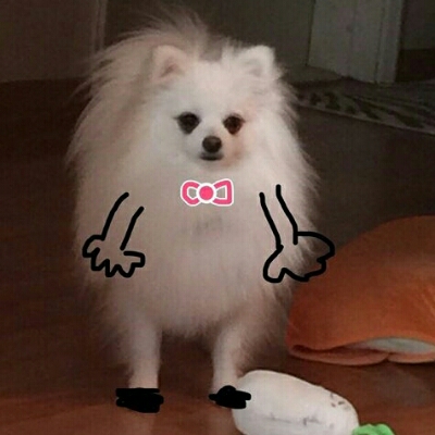 포헨 프로필