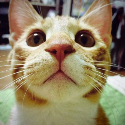 리뷰어 프로필