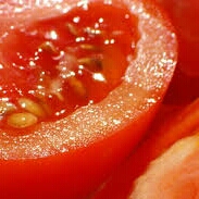 토마토먹고파 프로필