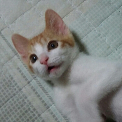 히꿍이 프로필