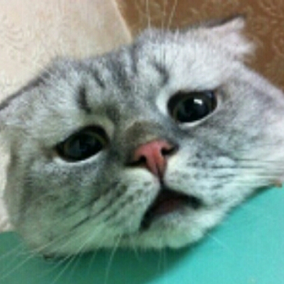 리뷰어 프로필