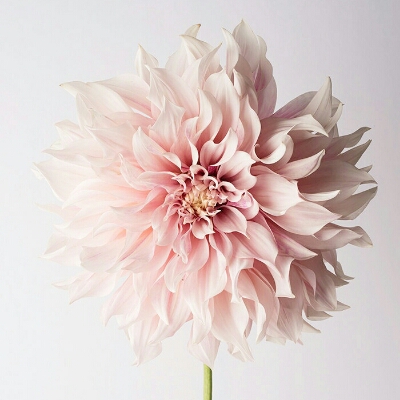 밝은몽글이 프로필