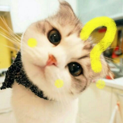아이쿵아이쿵 프로필