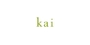 kai 로고