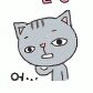 보라징ᆢㄷ 프로필