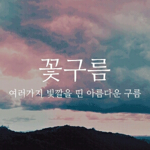 리뷰어 프로필