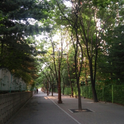 여우가될거야 프로필