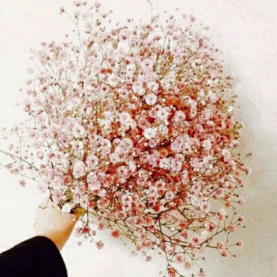 joda 프로필