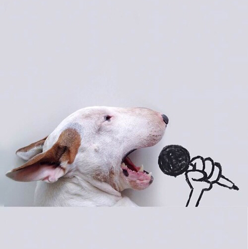 yyyyyo 프로필