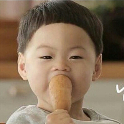 쵸콩민트 프로필