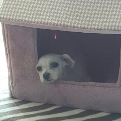밤뷰 프로필