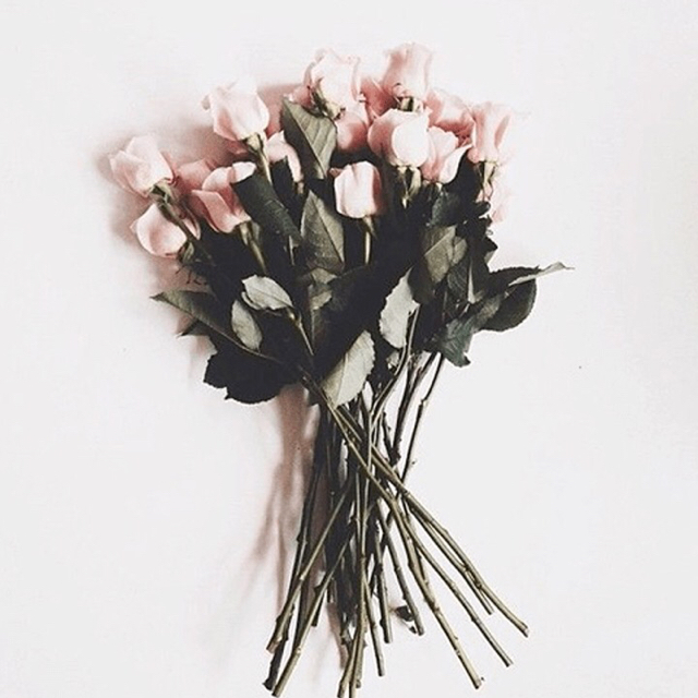 인블랑 프로필