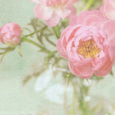 nsh038 프로필