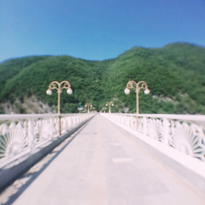 빵시렁 프로필