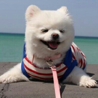 cw0626 프로필