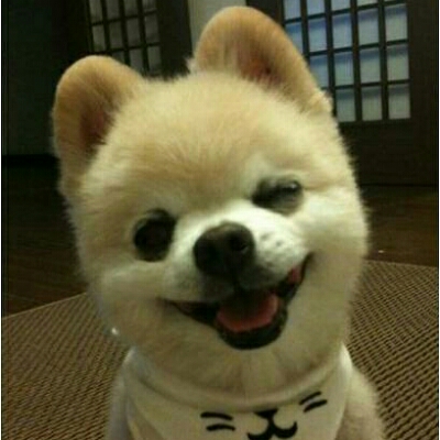 널본거야 프로필