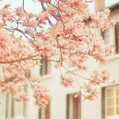 리뷰어 프로필