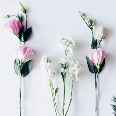 찬빛별 프로필