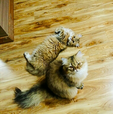 리뷰어 프로필