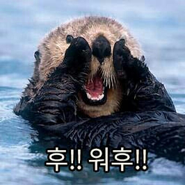 쀏꿻뛟 프로필