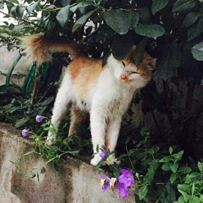 리뷰어 프로필