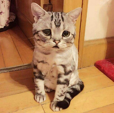 먕민 프로필