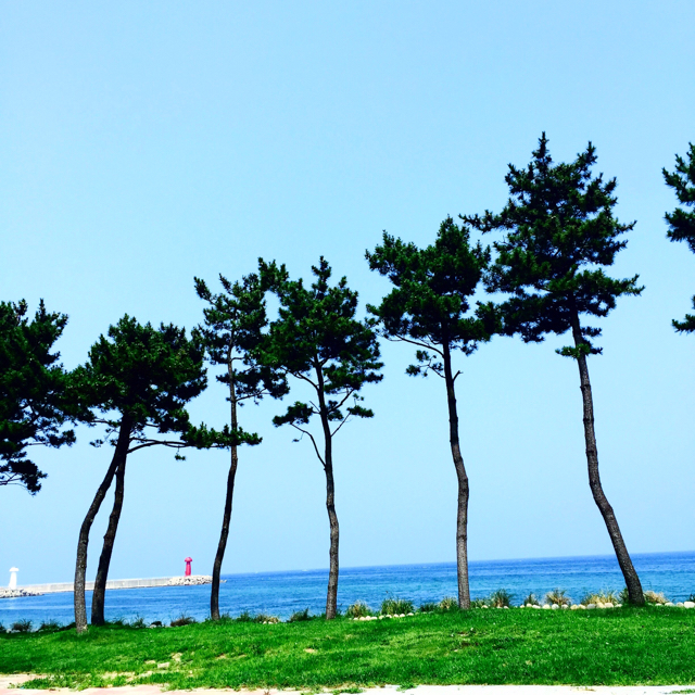 yonnnn 프로필