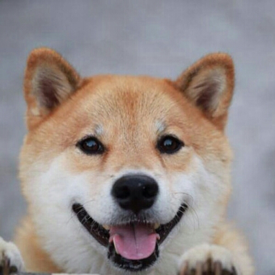 리뷰어 프로필