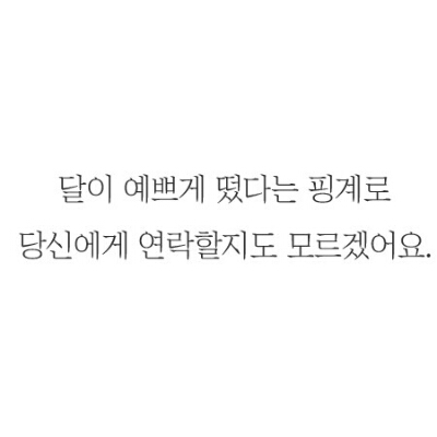 페더러 프로필