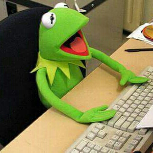 디니몬 프로필