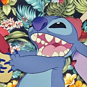 거친체리 프로필