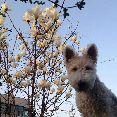 헬리찡 프로필