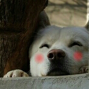리뷰어 프로필