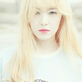 분홍신 프로필