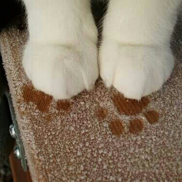 김쏘7 프로필