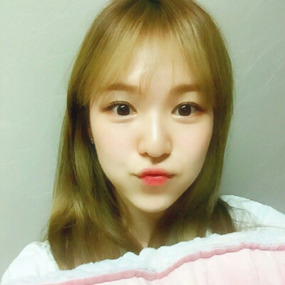 차인애 프로필