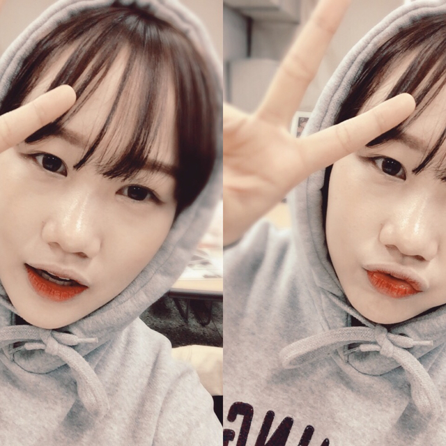 토우닥 프로필