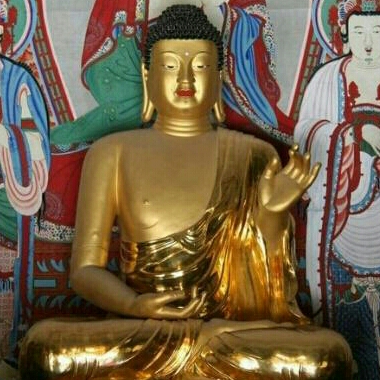 창녕연화심 프로필