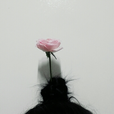 곱단 프로필