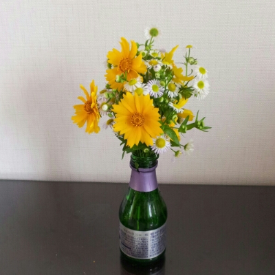 챠니2 프로필