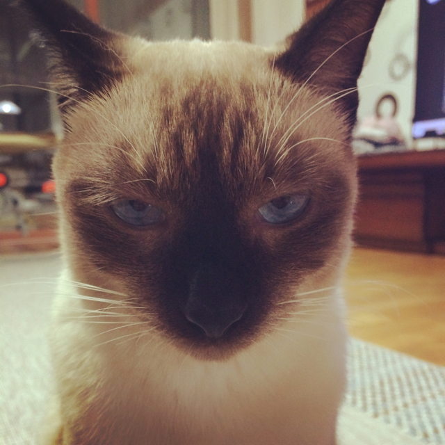 캐씨킴 프로필