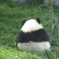 오백이 프로필
